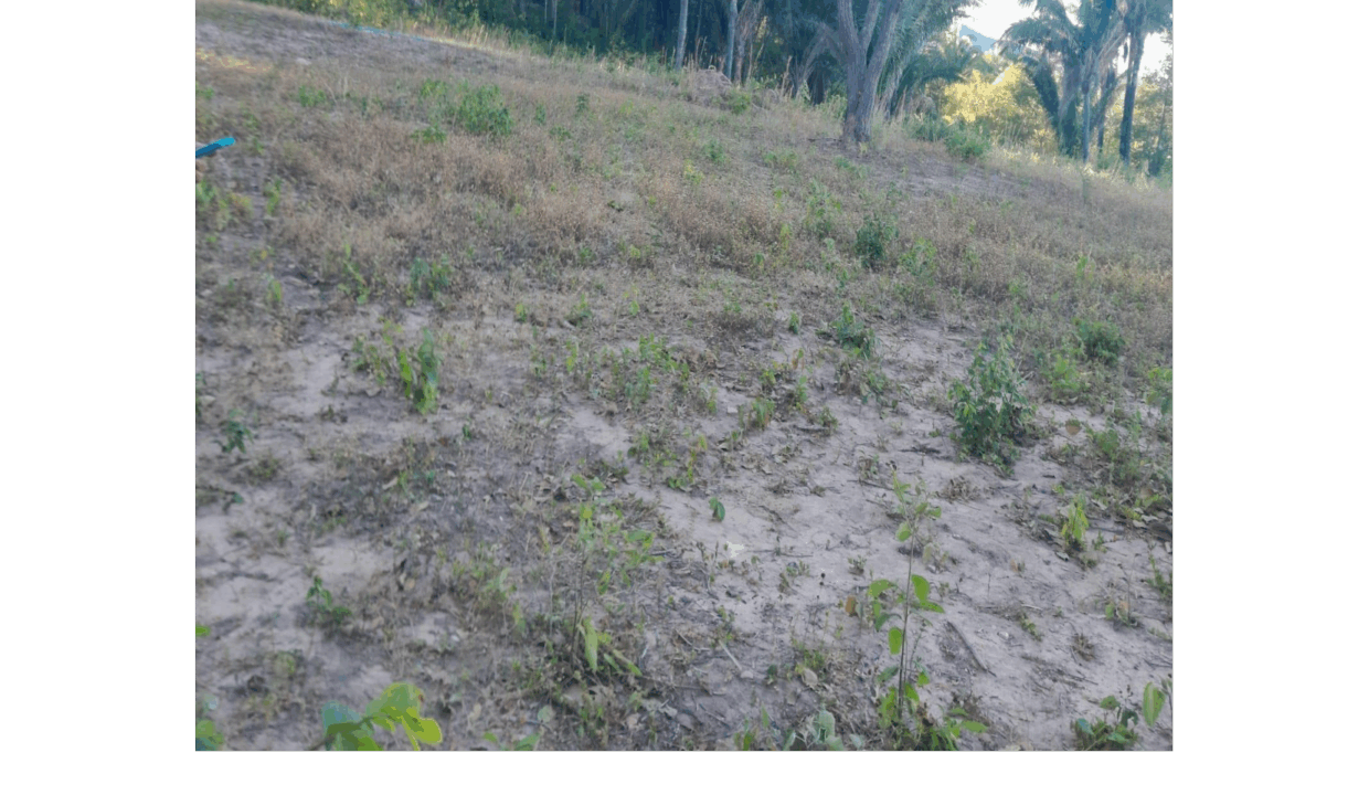 02-foto