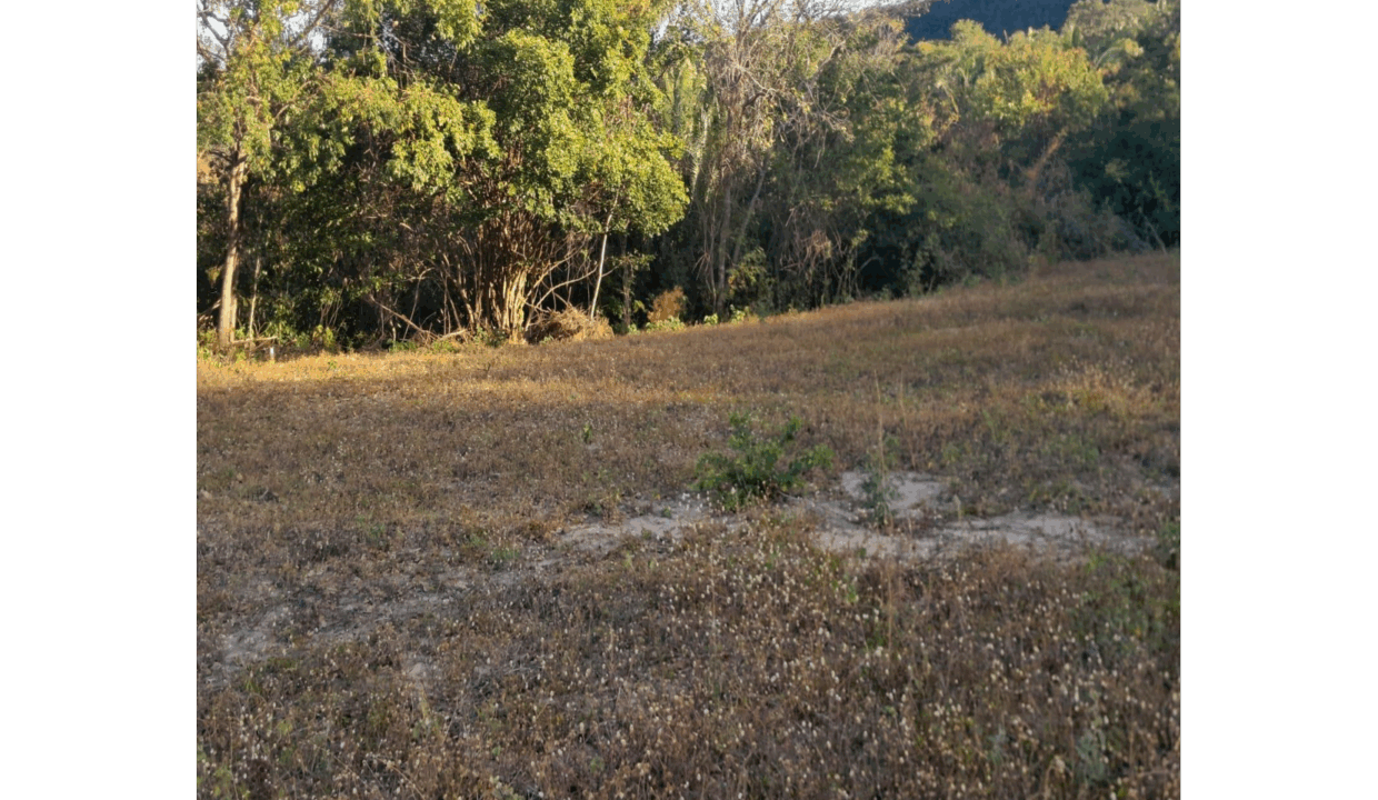 05-foto_1