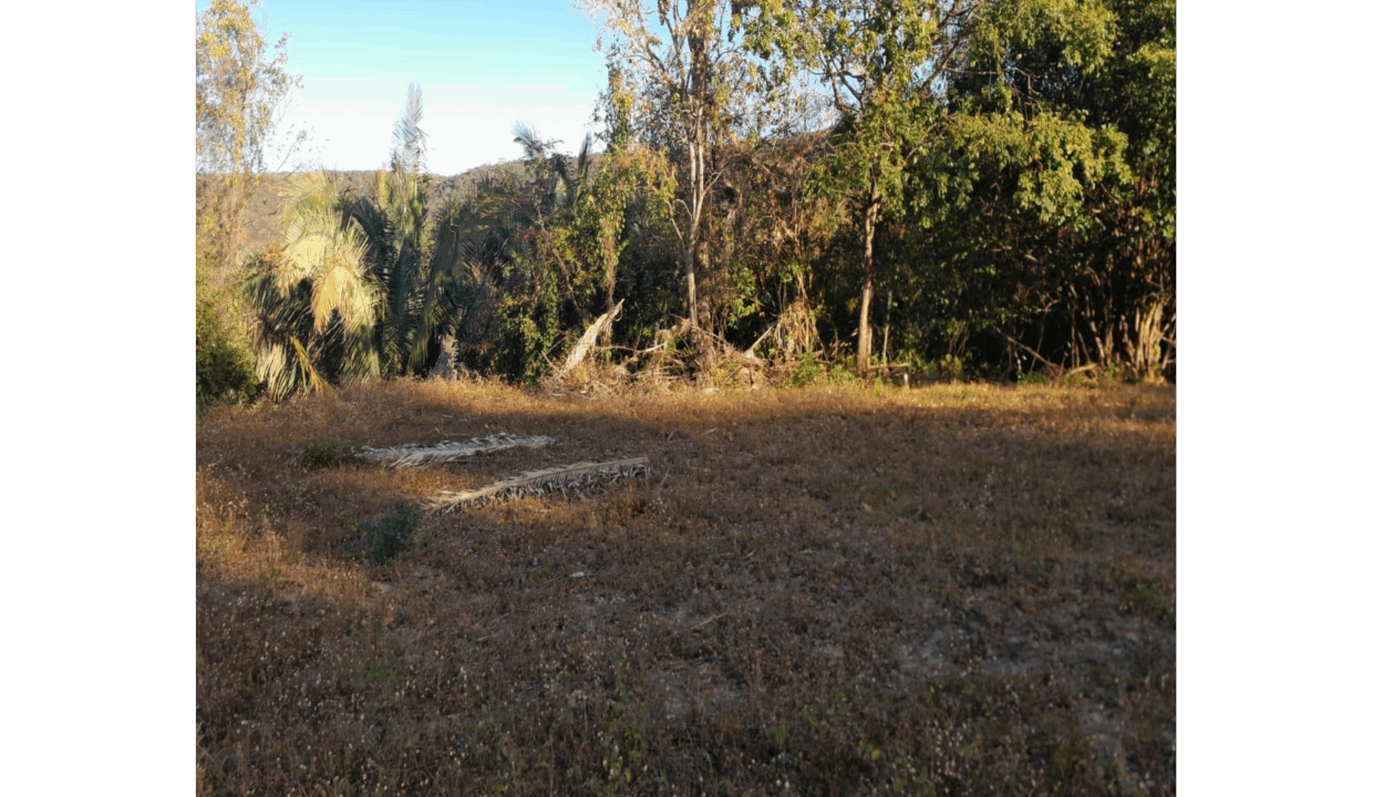 06-foto_1
