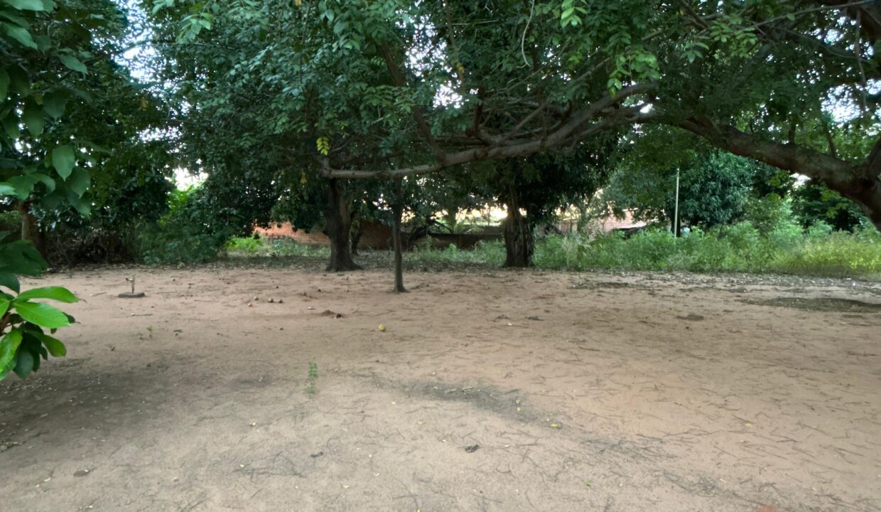 WhatsApp Image 2026-07-06 at 14.48.35