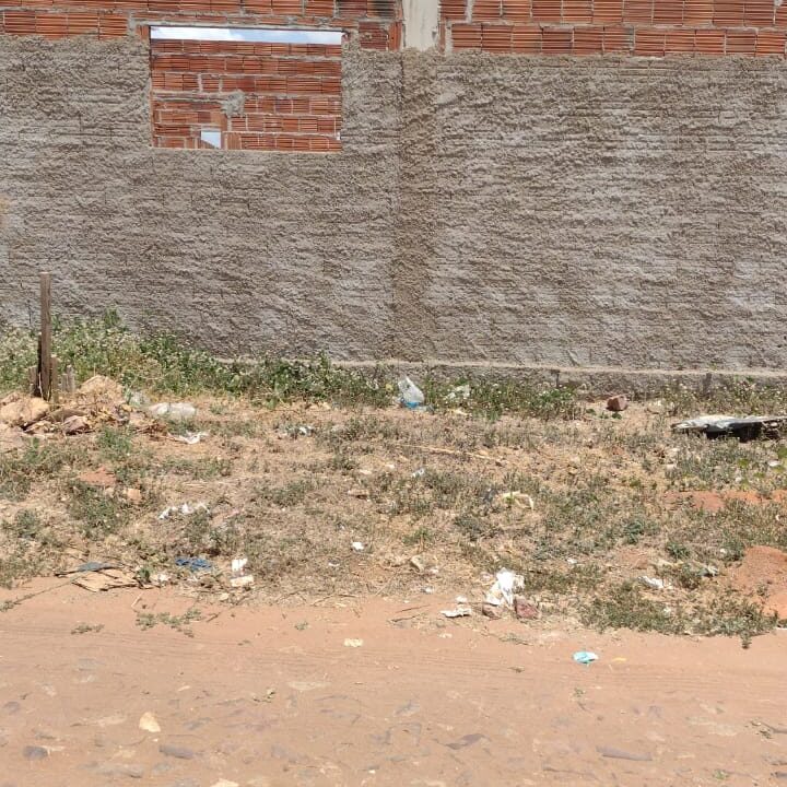 01 foto