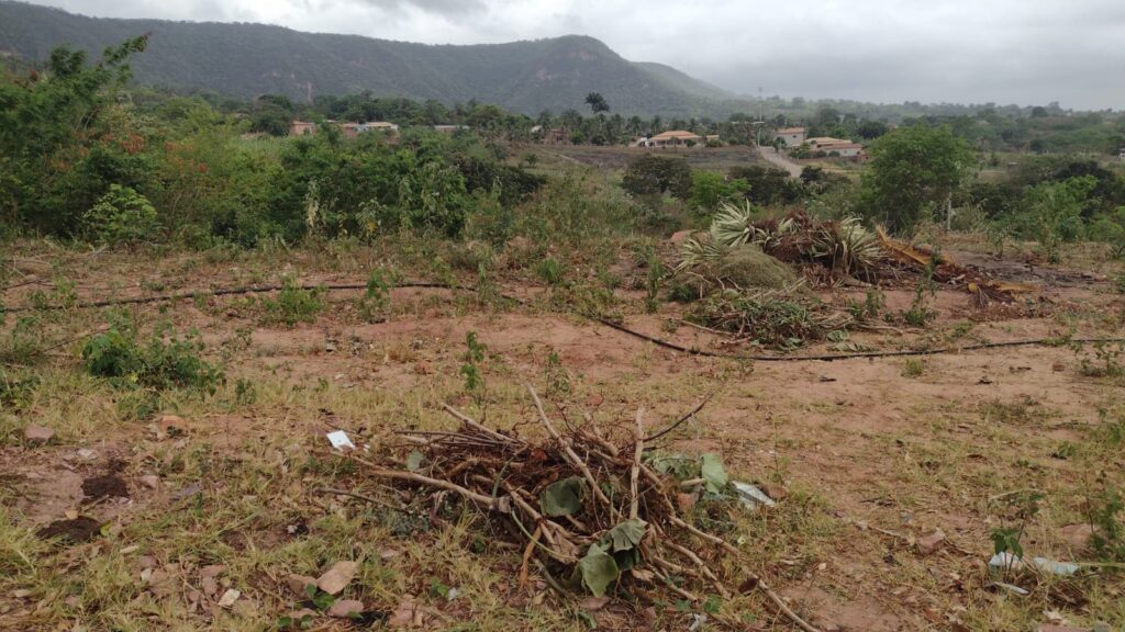 SITIO ESPINHAÇO – DISTRITO DE ARAJARA – BARBALHA-CE